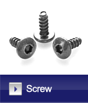 Ginsa Screw
